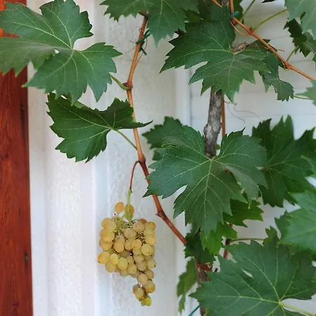 Milic Appartamento *